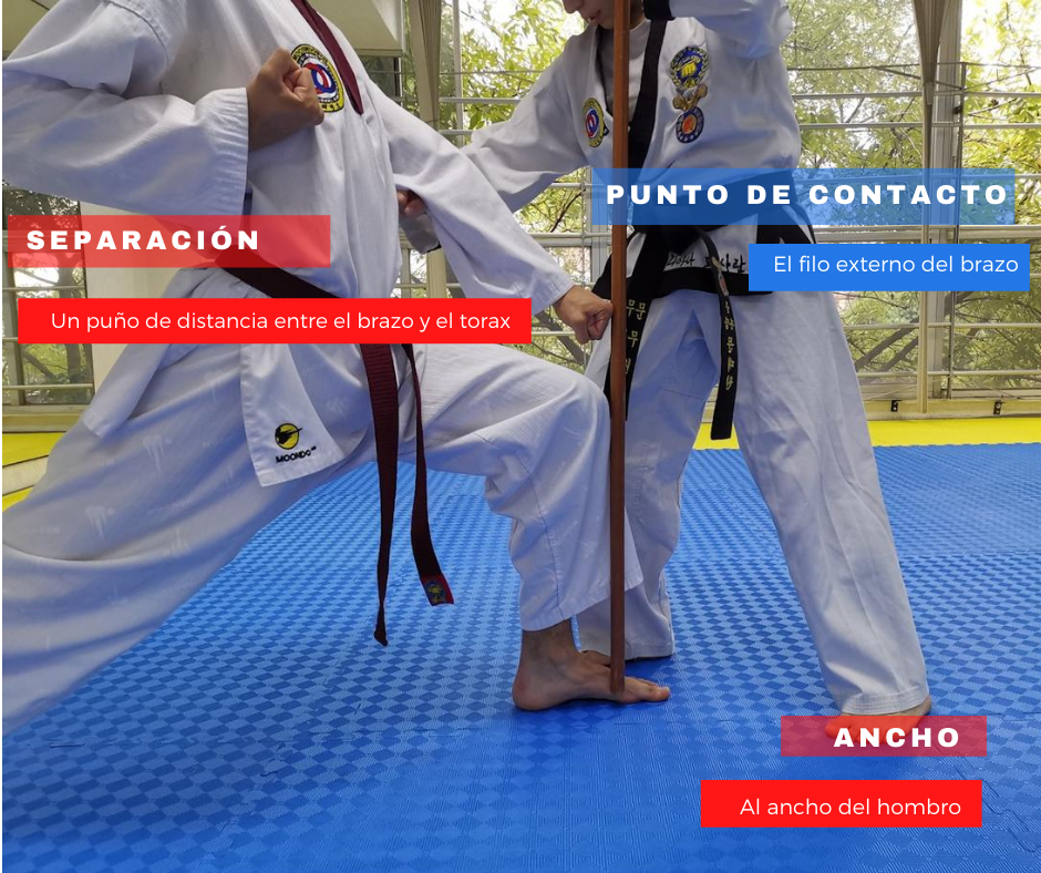 Defensa baja Taekwondo