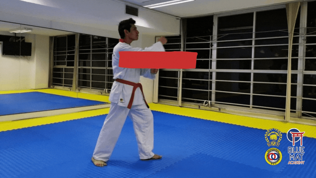 Cómo se realiza la patada de frente de taekwondo ap chagui