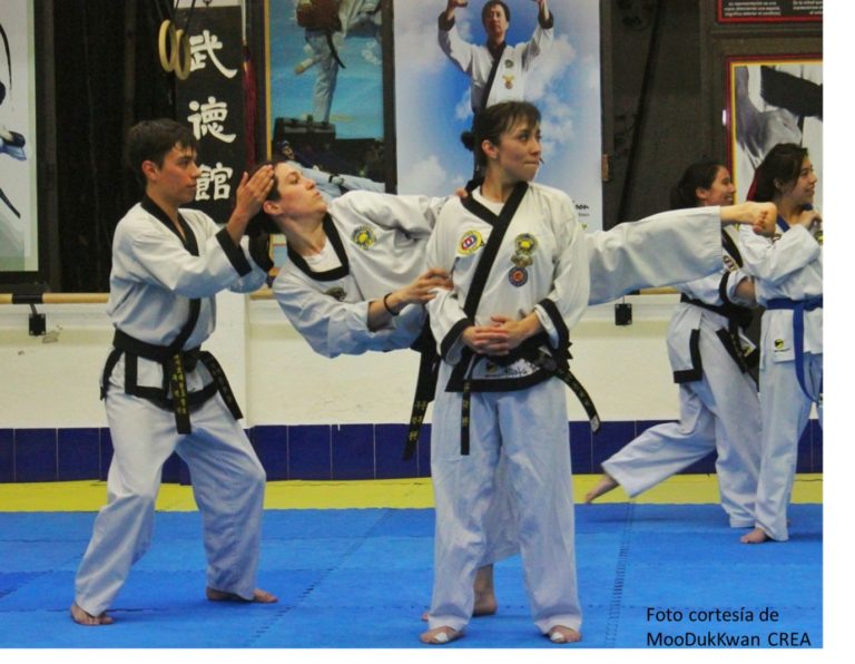 Blue Mat Academy Taekwondo