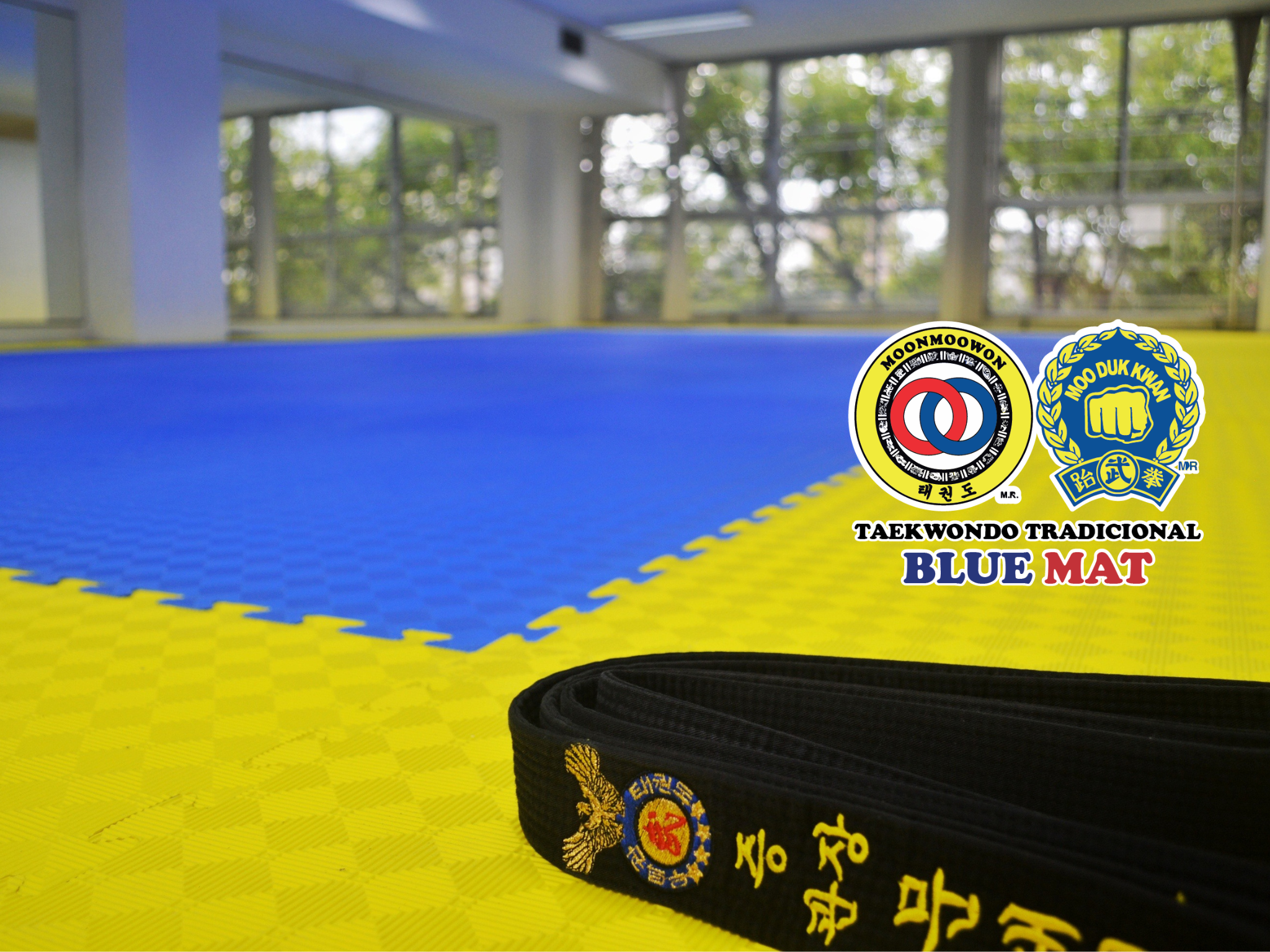 Aprende Taekwondo en dojang escuela Moon Moo won Moo Duk Kwan Blue Mat