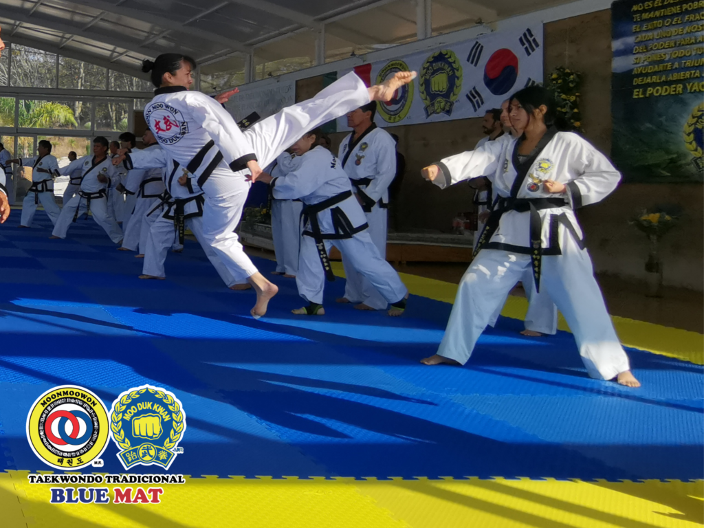 Aprende taekwondo en Moo Duk Kwan Blue Mat CDMX