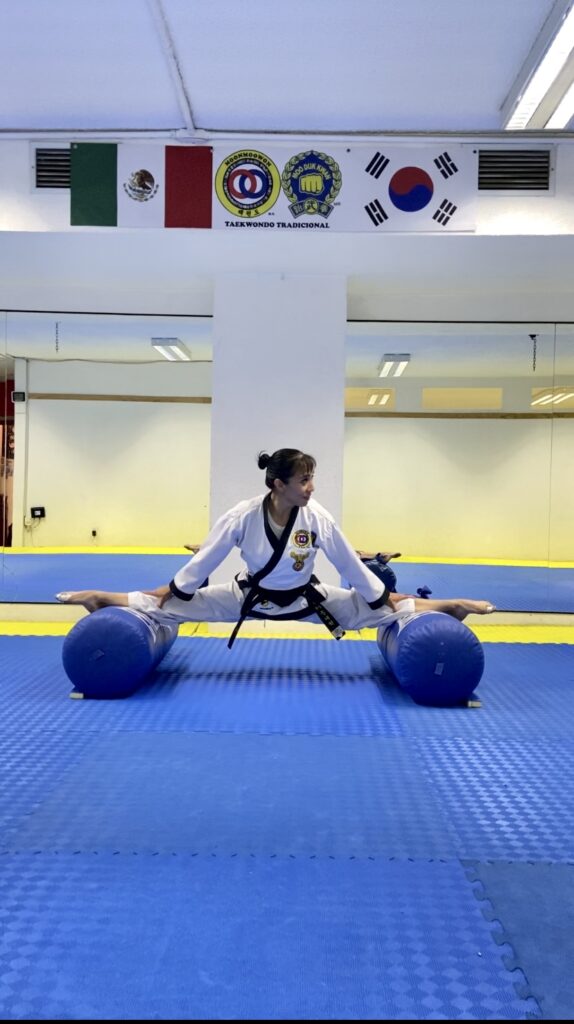 Curso de Flexibilidad para Taekwondo MoonMooWon Moo Duk Kwan Blue Mat